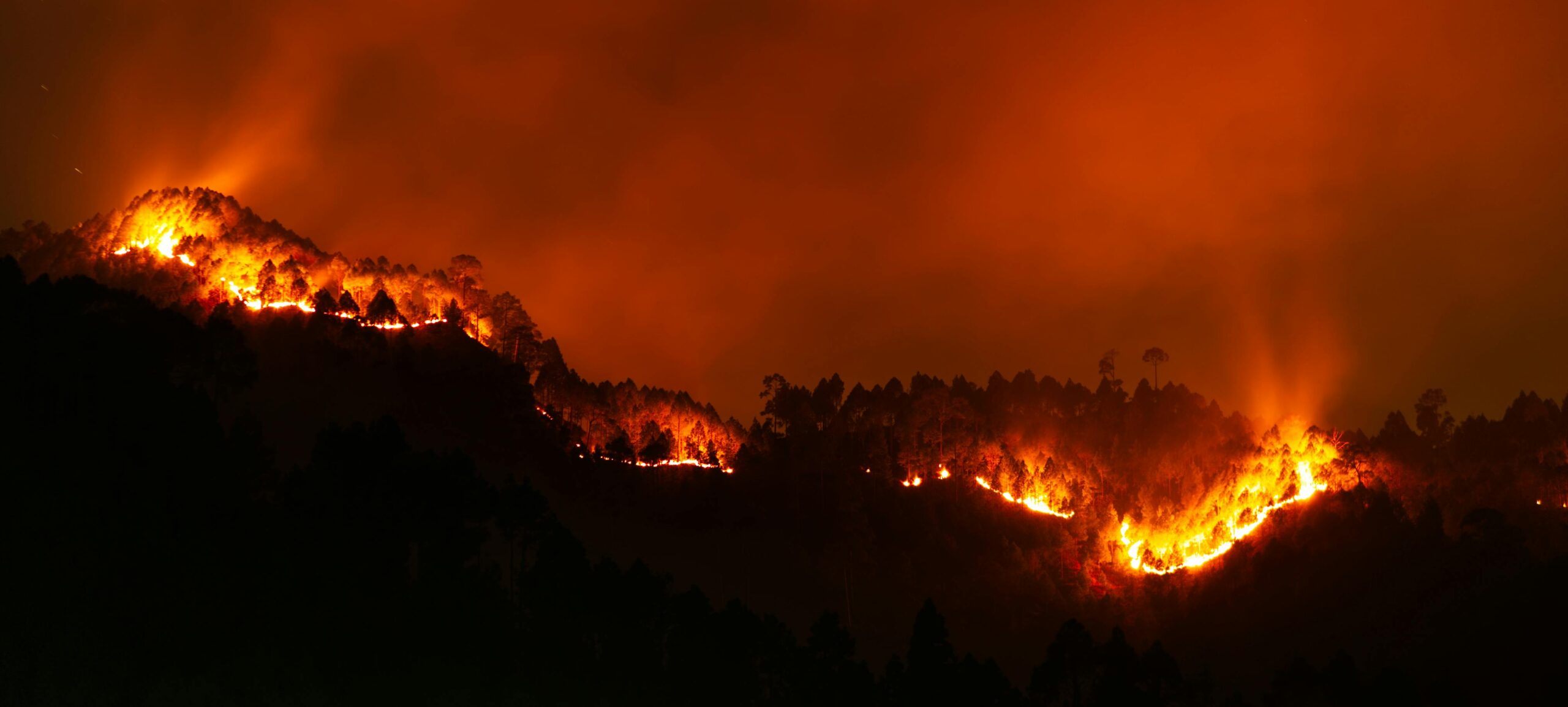 Solutions Ecologique feu de forêt